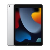 Apple iPad Wi-Fi + Cellular 2021 256GB